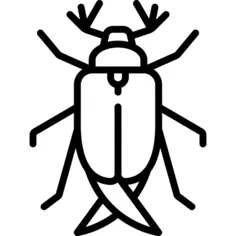 Bug
