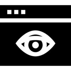 Vision