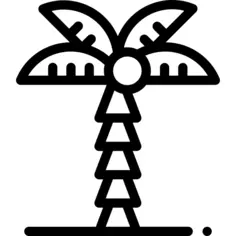 棕榈树
