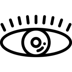 眼睛