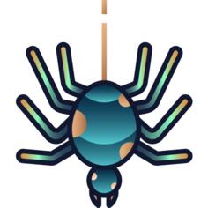 Spider