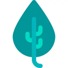 Leaf