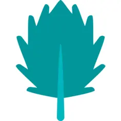 Leaf