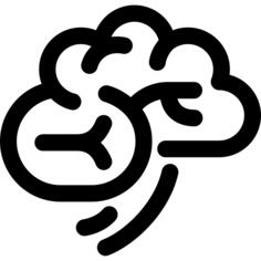 Brain