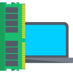 Ram