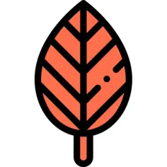 Leaf