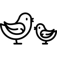 Birds