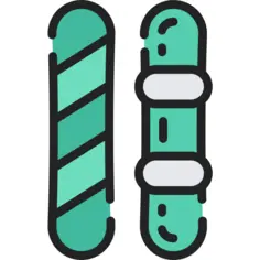 Snowboard