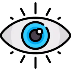 眼睛