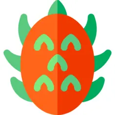 Pitaya