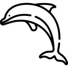 海豚