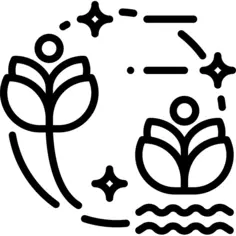Lotus flower