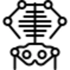Skeleton