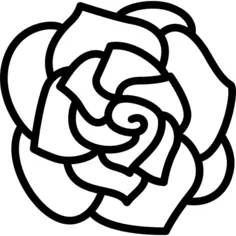 Gardenia