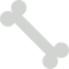 Bone