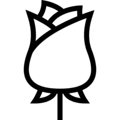 玫瑰