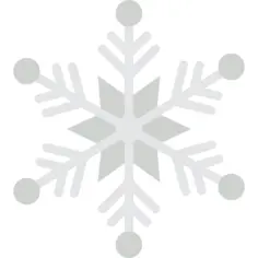 雪花