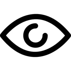 眼睛