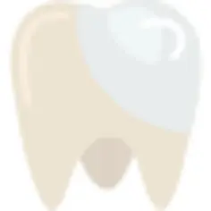 Molar