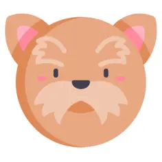 约克夏犬