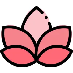 莲花