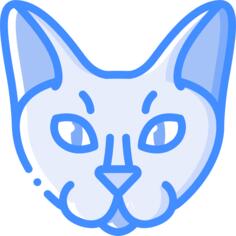猫