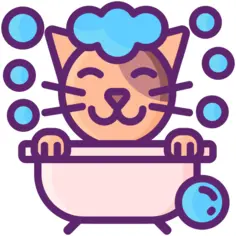 猫浴