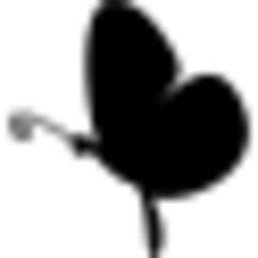 Black butterfly side view