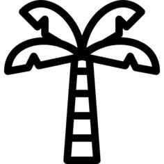 Palm tree