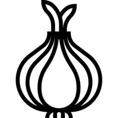 Onion