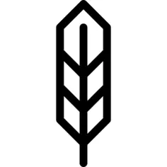 Native American Feather