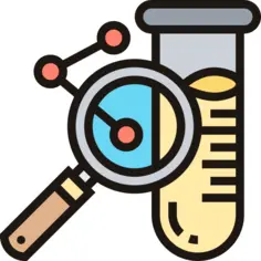 Search