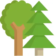 Trees