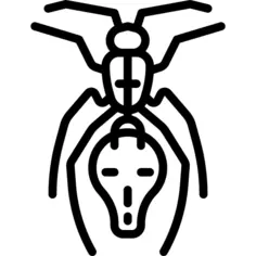 Ant
