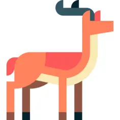 Antelope