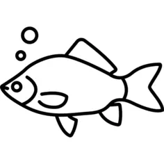 鱼与泡沫