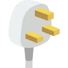 Plug