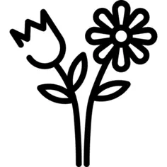 花卉