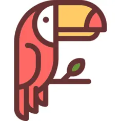 Toucan