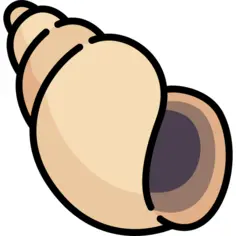 Sea snail