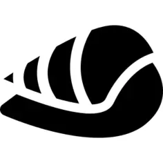 Conch shell