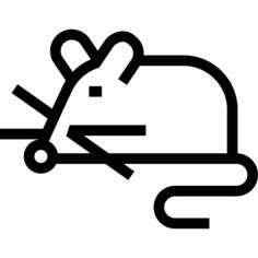 老鼠