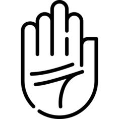 Palm