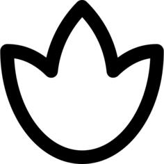 莲花