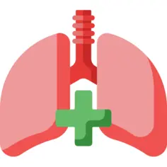 Lungs
