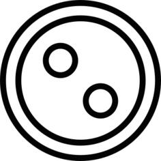 Shirt button with two holes