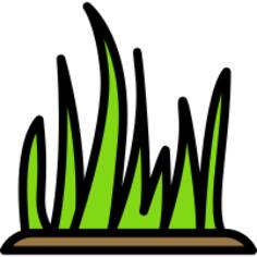 Grass