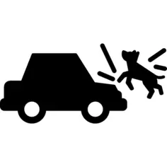 汽车跑过狗