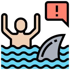 Shark