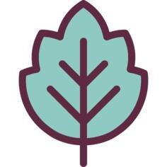 Leaf